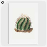 1-12_Charles-Antoine-Lemaire_picture