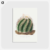 1-12_Charles-Antoine-Lemaire_postcard