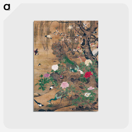 アートポストカード-Chinese Birds and Flowers
 - クリーブランド美術館 Postcard.