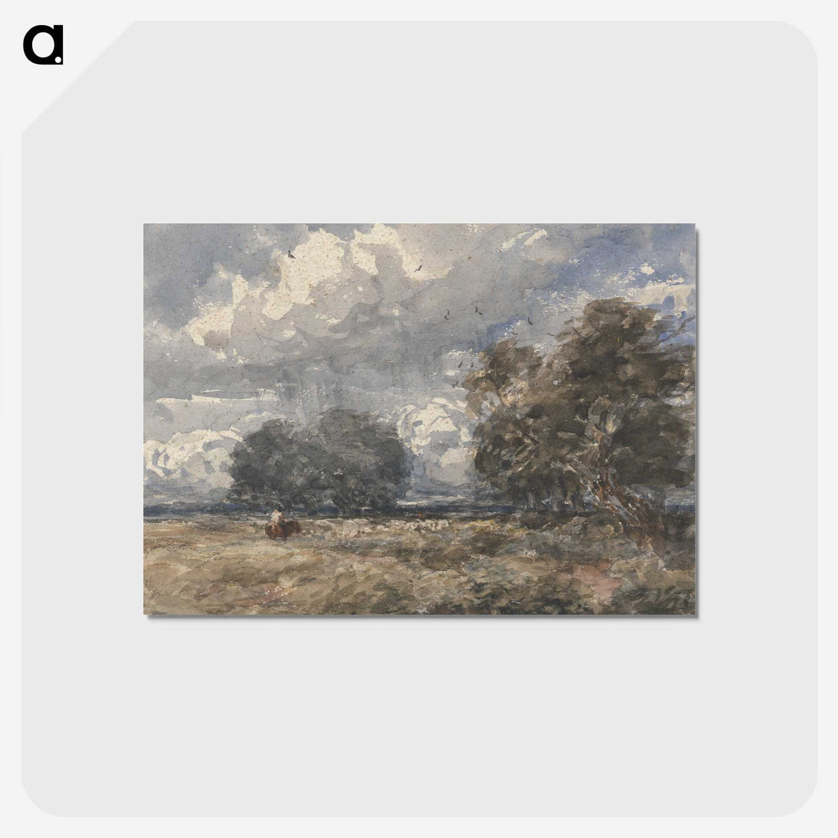 1-12_David-Cox_postcard
