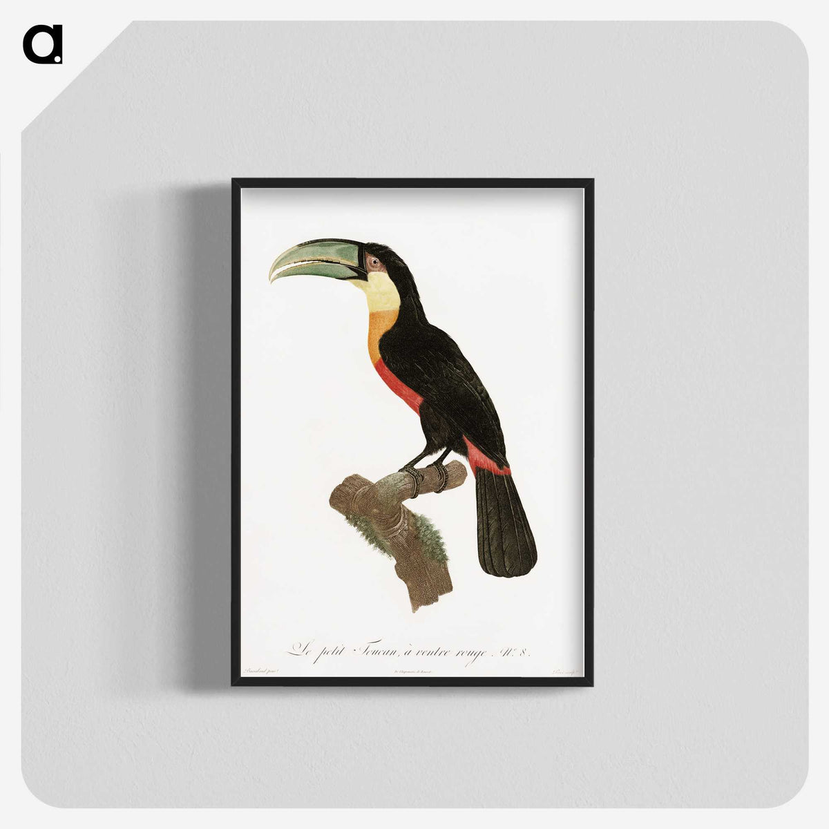 1-12_Des-Oiseaux-de-Paradis_blk-crop