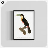 1-12_Des-Oiseaux-de-Paradis_blk-crop
