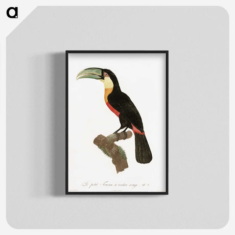 1-12_Des-Oiseaux-de-Paradis_blk-crop