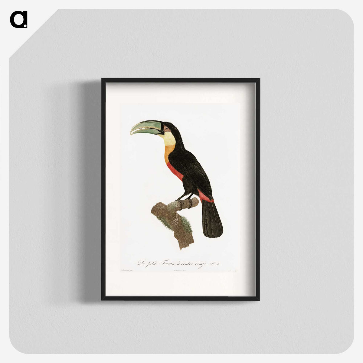 1-12_Des-Oiseaux-de-Paradis_blk
