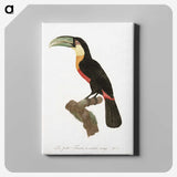 1-12_Des-Oiseaux-de-Paradis_canvas