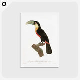 1-12_Des-Oiseaux-de-Paradis_hagaki