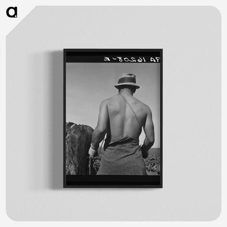 1-12_Dorothea-Lange_blk-crop