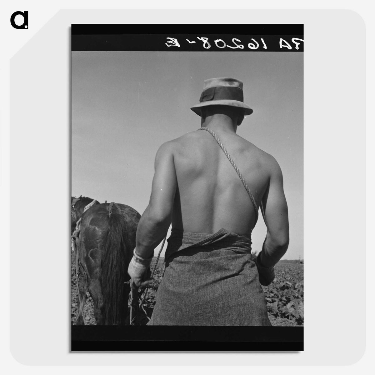 1-12_Dorothea-Lange_picture-crop