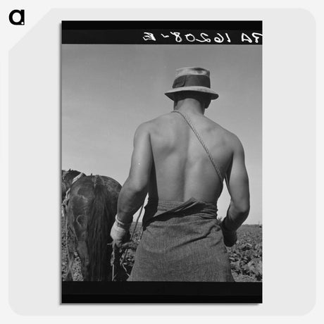 1-12_Dorothea-Lange_picture-crop