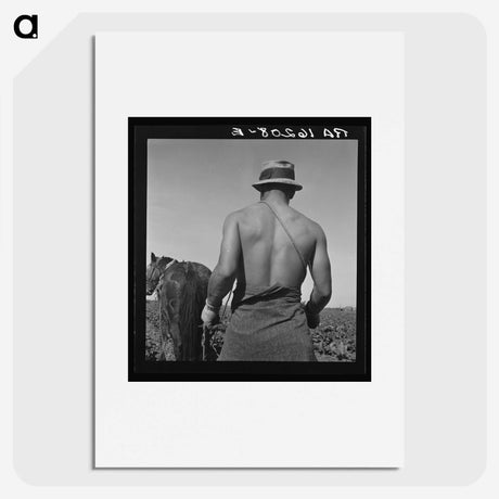 1-12_Dorothea-Lange_picture