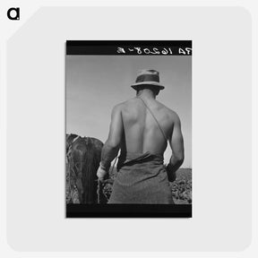 1-12_Dorothea-Lange_postcard
