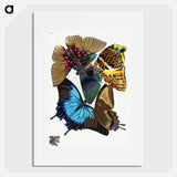 E.A. Séguy's vintage butterflies - E.A.セギー Poster.