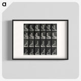 1-12_Eadweard-Muybridge_blk