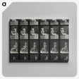1-12_Eadweard-Muybridge_canvas