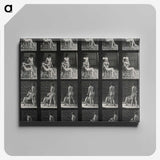 1-12_Eadweard-Muybridge_canvas