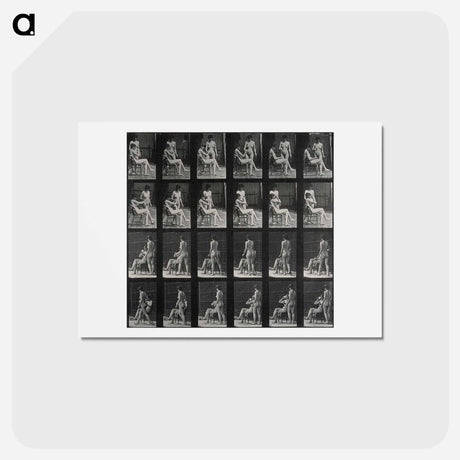 アートポストカード-The Drink
 - エドワード マイブリッジ Postcard.