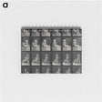 1-12_Eadweard-Muybridge_memo