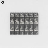 1-12_Eadweard-Muybridge_memo