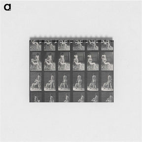 1-12_Eadweard-Muybridge_memo