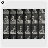 1-12_Eadweard-Muybridge_picture-crop
