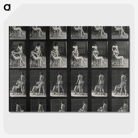 1-12_Eadweard-Muybridge_picture-crop