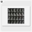 1-12_Eadweard-Muybridge_picture