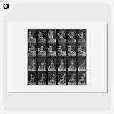 1-12_Eadweard-Muybridge_picture