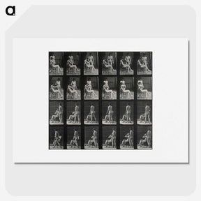1-12_Eadweard-Muybridge_picture