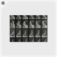1-12_Eadweard-Muybridge_postcard