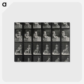 1-12_Eadweard-Muybridge_postcard