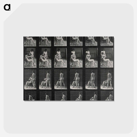 アートポストカード-The Drink
 - エドワード マイブリッジ Postcard.