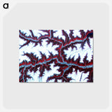アートポストカード-Eastern Himalaya Mountains
 - 上空からの地球 Postcard.