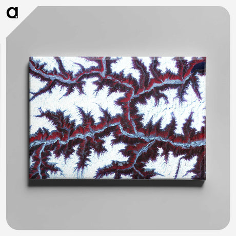 1-12_Earth-from-Above_canvas