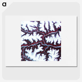 1-12_Earth-from-Above_picture