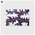 1-12_Earth-from-Above_postcard