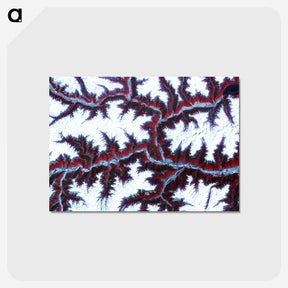 1-12_Earth-from-Above_postcard