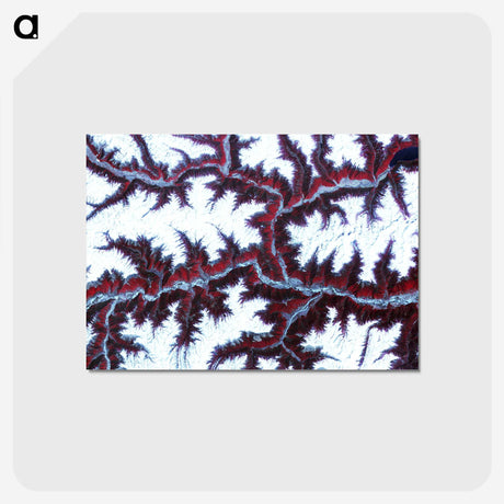 1-12_Earth-from-Above_postcard