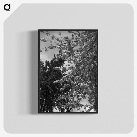 1-12_Eric-Lee-Johnson_blk-crop