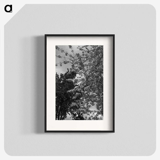 1-12_Eric-Lee-Johnson_blk