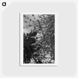 1-12_Eric-Lee-Johnson_hagaki