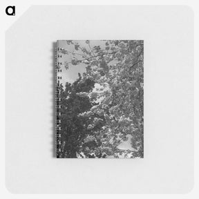1-12_Eric-Lee-Johnson_memo