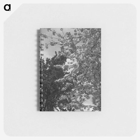 1-12_Eric-Lee-Johnson_memo