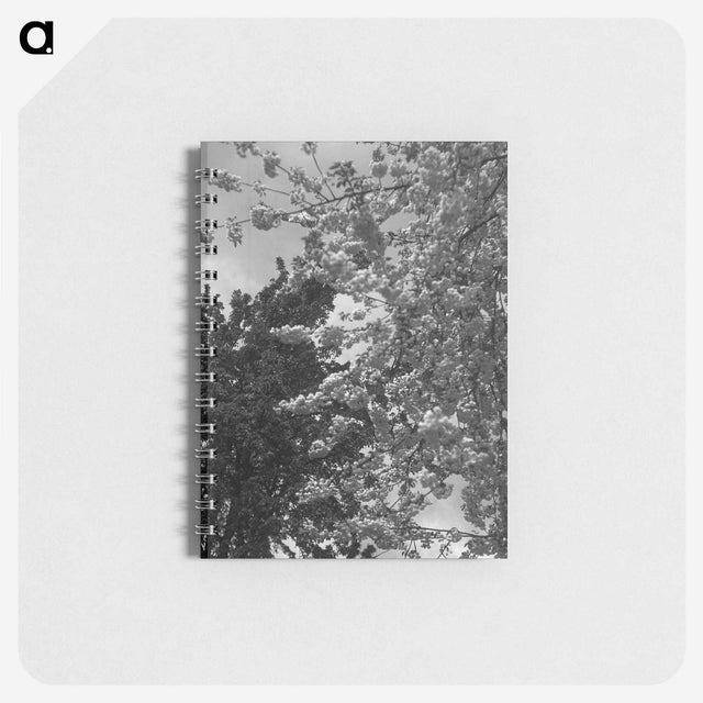 1-12_Eric-Lee-Johnson_memo