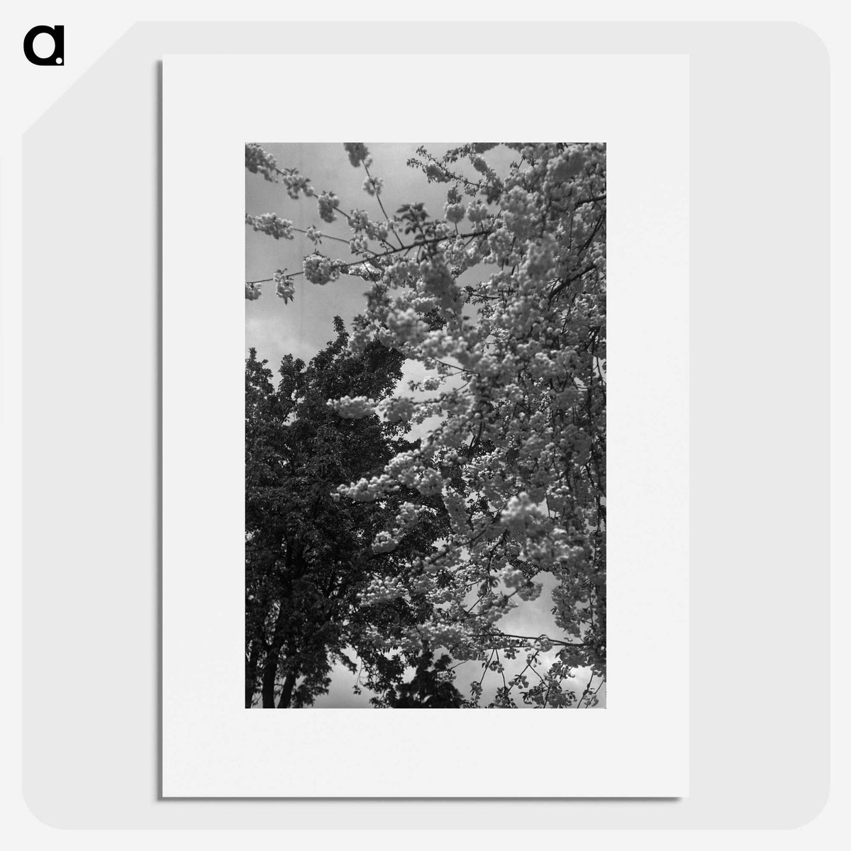 1-12_Eric-Lee-Johnson_picture