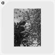 1-12_Eric-Lee-Johnson_postcard