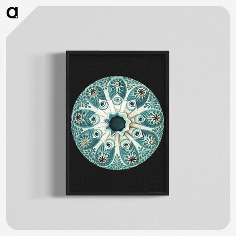 1-12_Ernst-Haeckel_blk-crop