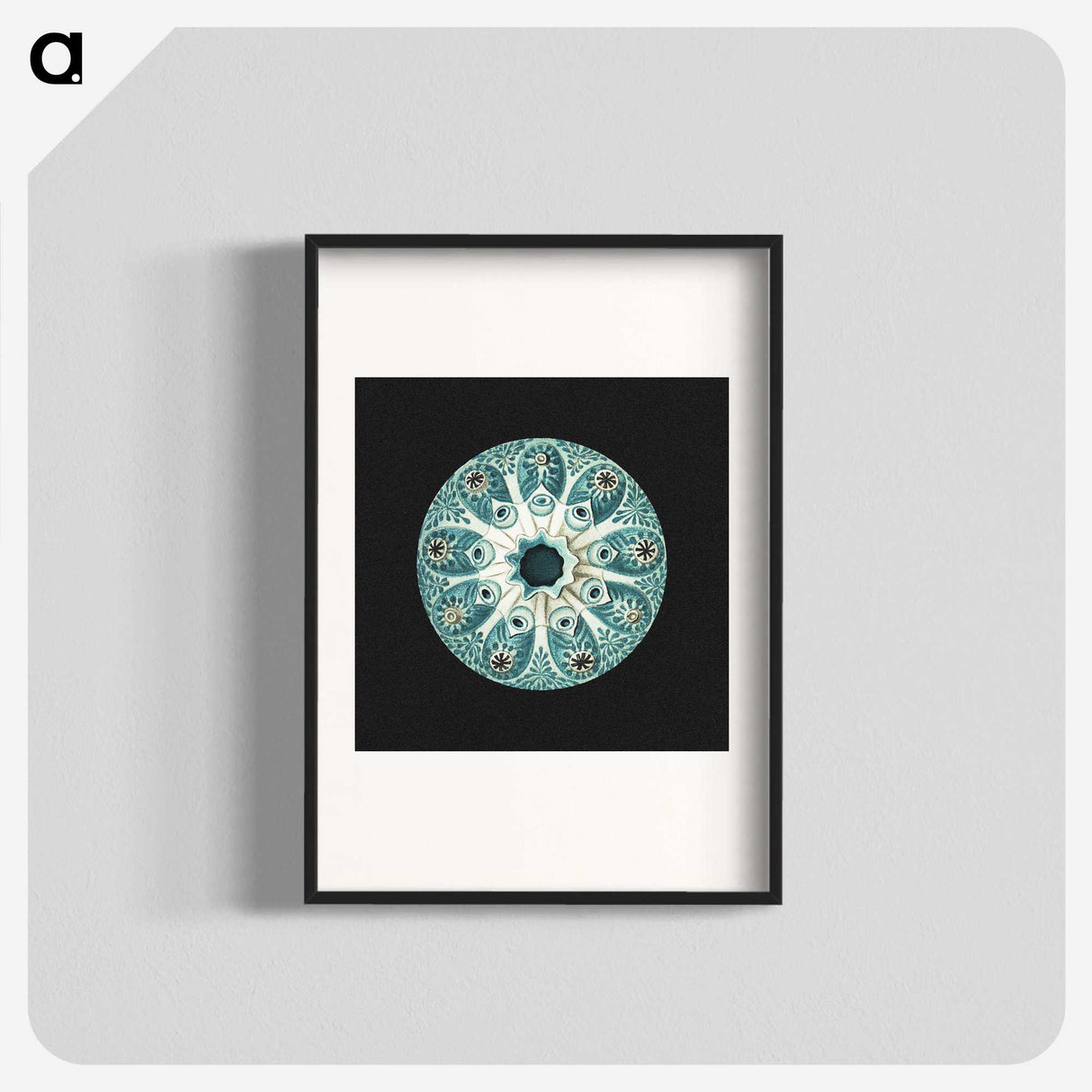 1-12_Ernst-Haeckel_blk