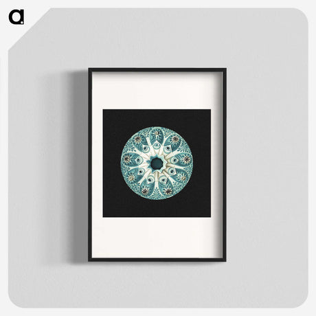 1-12_Ernst-Haeckel_blk