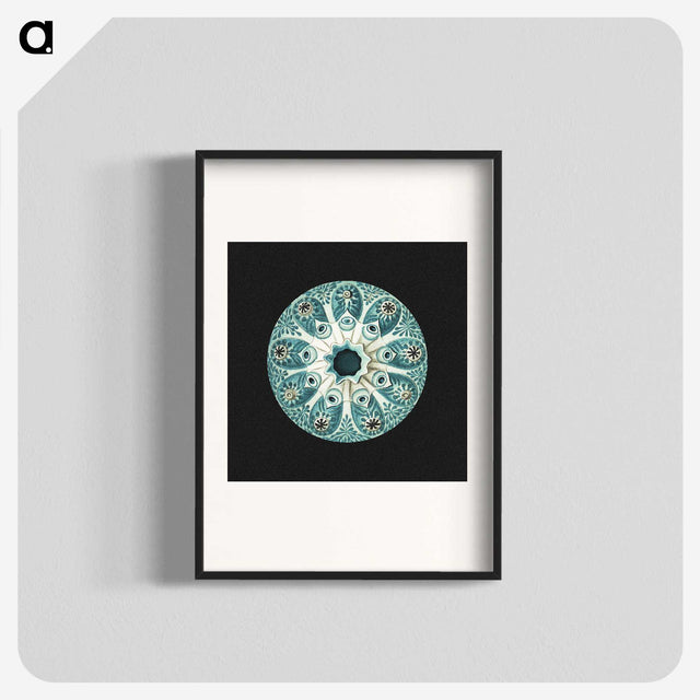 1-12_Ernst-Haeckel_blk