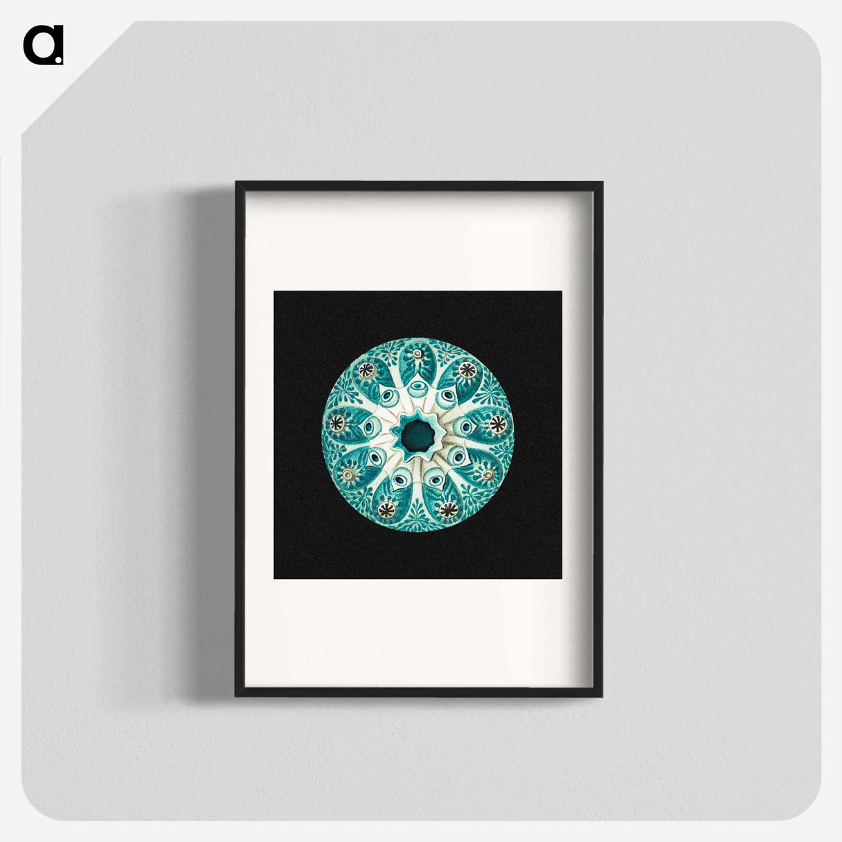 Colorful vintage tunicate marine life illustration - エルンスト ヘッケル Poster.